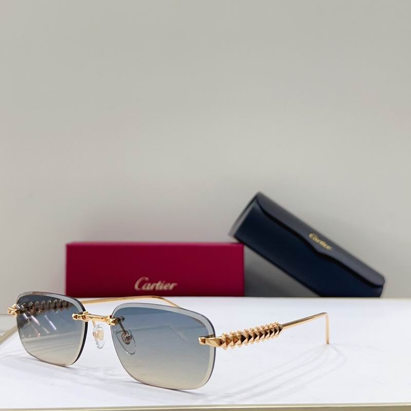 Cartier CT0689S 0313041 g