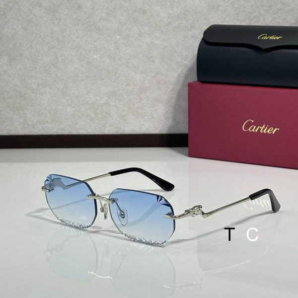 Cartier CT820059O 58 18-135 c