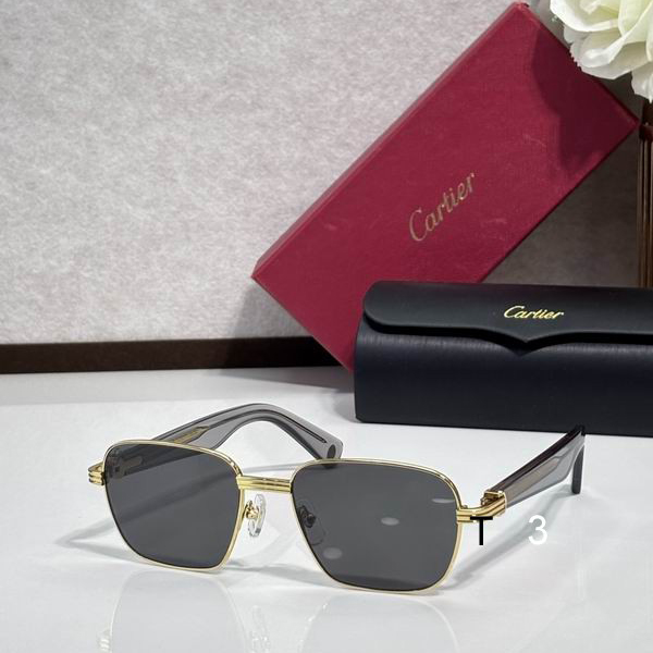 Cartier CT0538 55 17-145 c