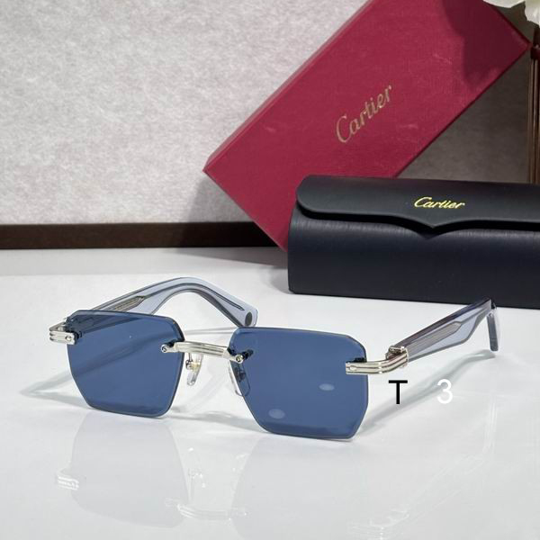 Cartier CT0539 55 19-145 c