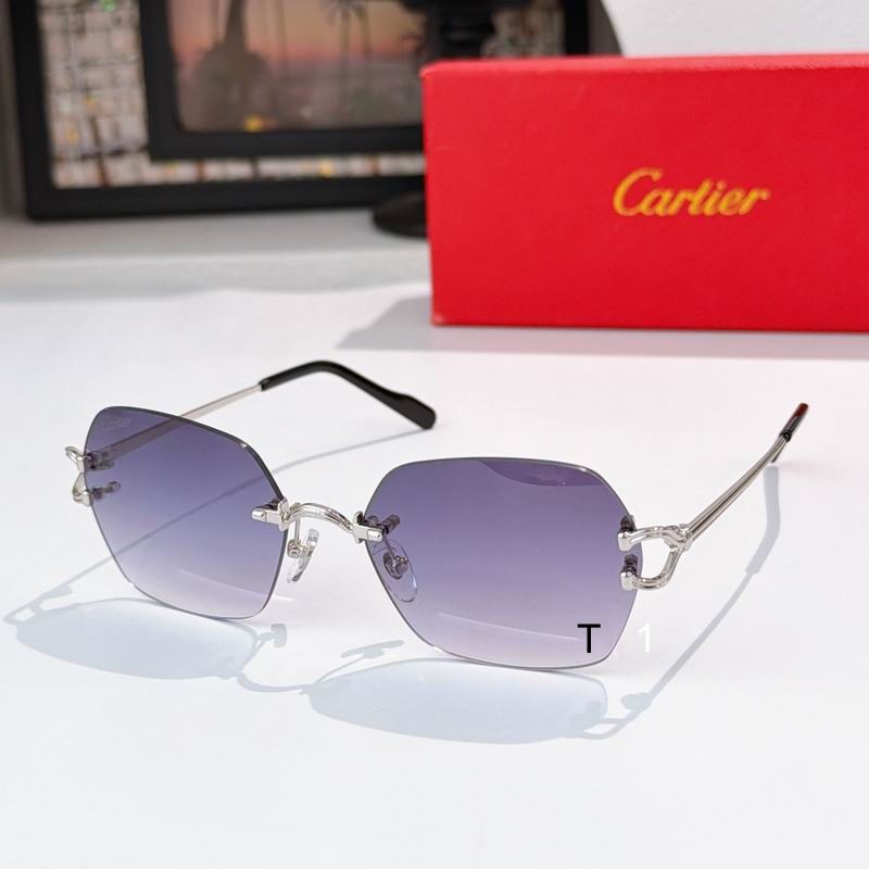 Cartier CT0564O 54 19-140 a