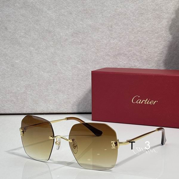 Cartier CT0591S 55 20-145 C