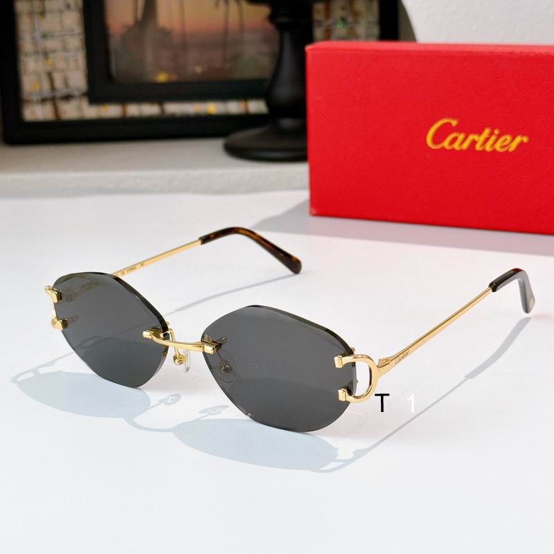 Cartier CT0012O 140 a