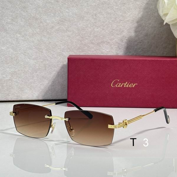 Cartier CT0578O 145 c
