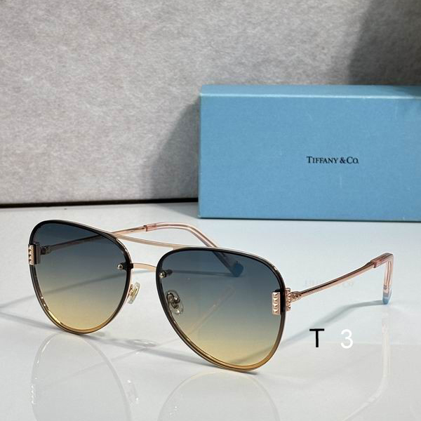 TIFFANY Co TF3066 64 16-145 c