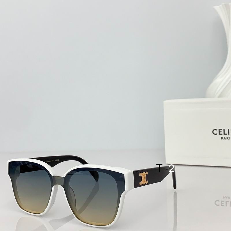 CELINE CL42094U 55 18-145 b