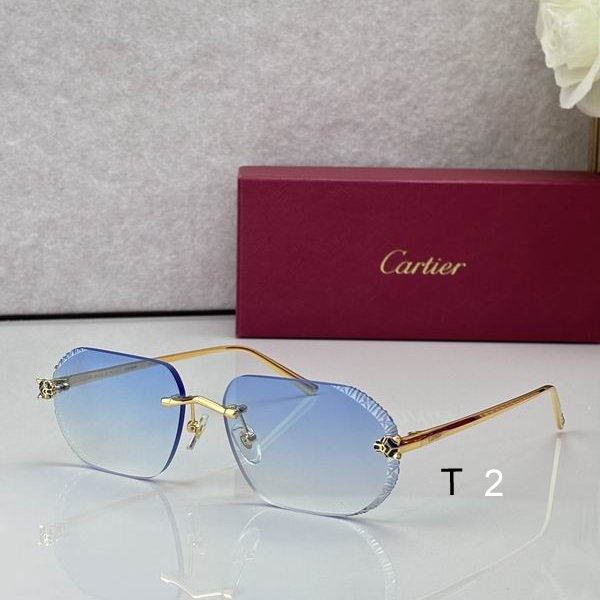 Cartier CT0763S 58 17 143 c