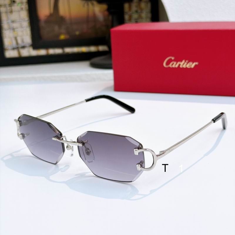 Cartier CT0102O 55 18-135 a