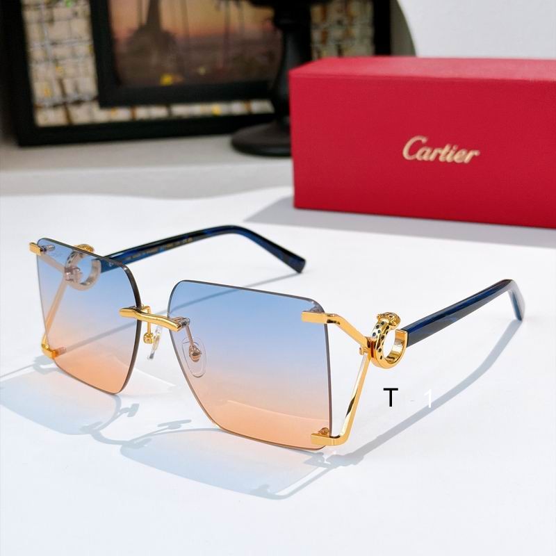 Cartier CT7196 61 14 138 a