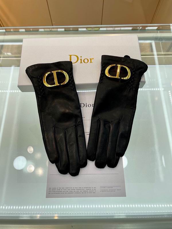 Dior gloves hm16
