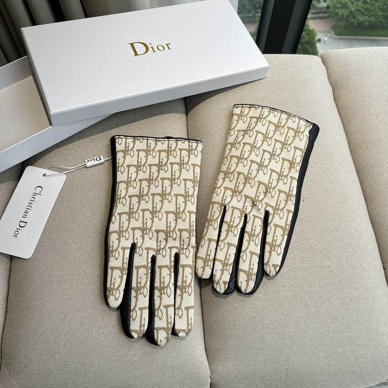 Dior gloves hm17