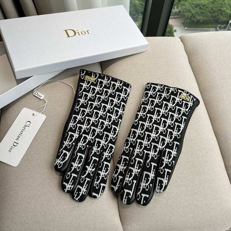 Dior gloves hm18
