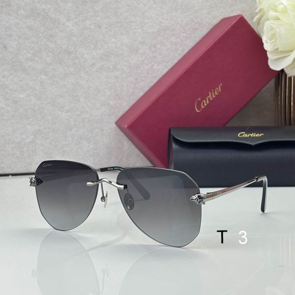 Cartier CT0502S 60 16-145 c