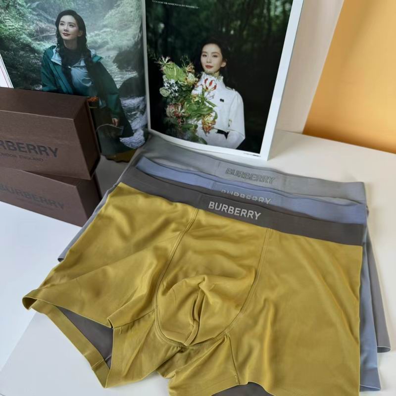 Burberry boxer L-3XL 100801