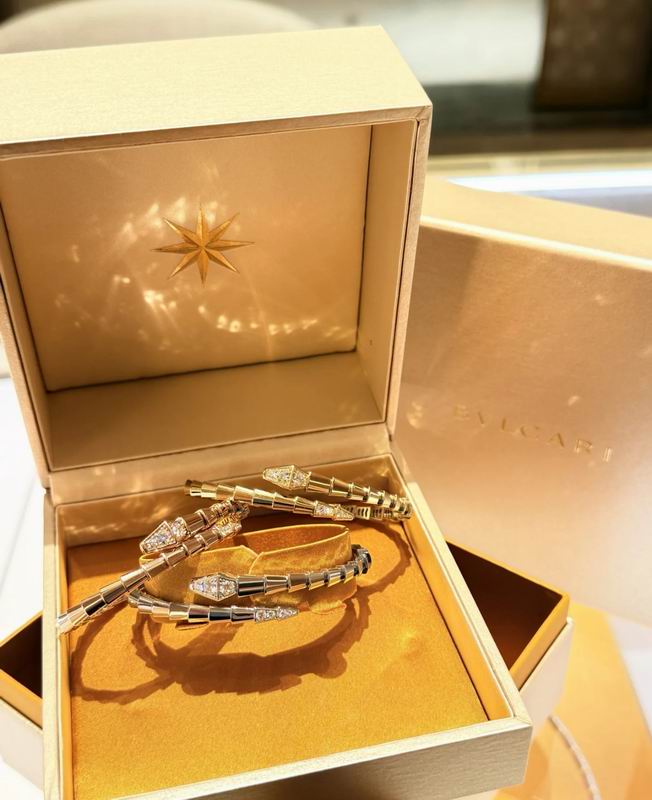 Bvlgari Bracelet 09yxs01